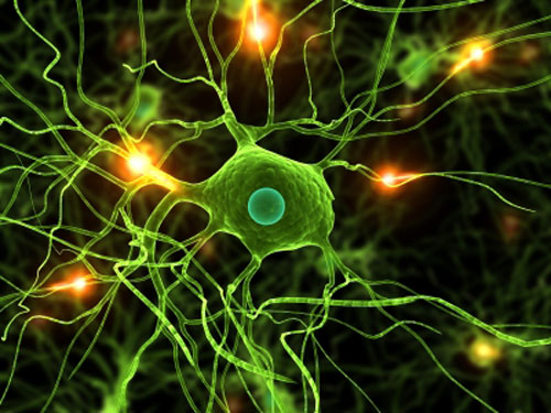 Brain networks image